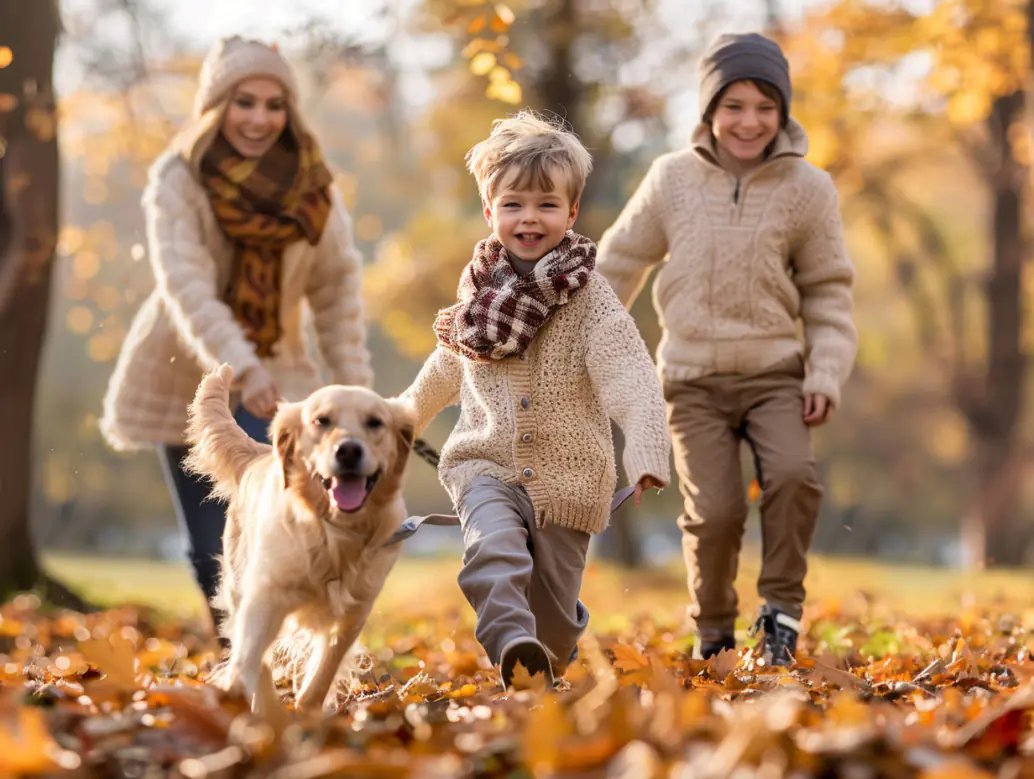 Интернет-банкинг Приват24